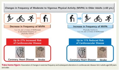 运动显著降低心血管病风险：最新研究揭示运