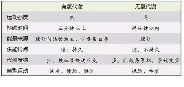 跑步直播有氧运动_跑步带氧气_跑步吸氧