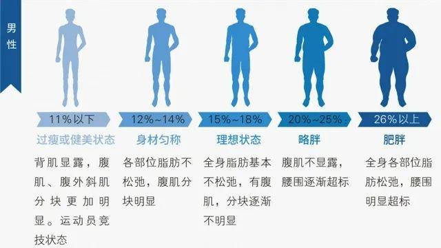 骨架大健身_健身大骨架男明星_健身男星