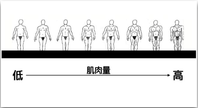 健身男星_健身大骨架男明星_骨架大健身