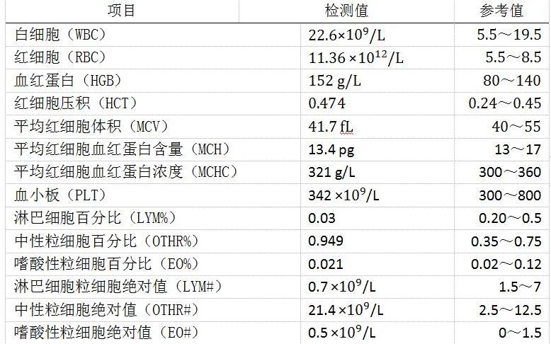 猫咪猫日常家庭怎么养_猫咪家庭护理百科_猫咪多猫家庭日常