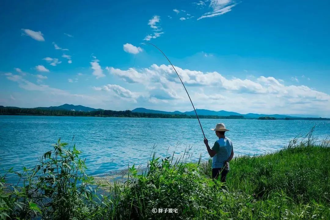 教你几个生活小技巧_老城生活小技巧_生活小技巧的句子