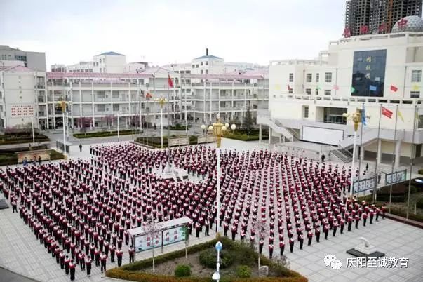 庆阳篮球哪个最厉害_庆阳市篮球协会_庆阳篮球冠军有哪些