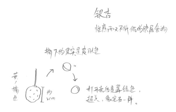 小学生广播视频体操_无为小学生广播体操_中心小学体操广播视频