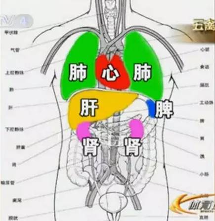 生活小窍门健身教练证_教练证怎么考取驾照_教练证健身教练