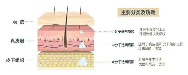 韩国男明星健身发腮_韩国健身男歌手_韩国女星健身