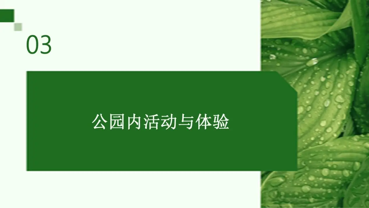 悠闲生活的时尚_悠闲生活拍摄技巧_悠闲生活照