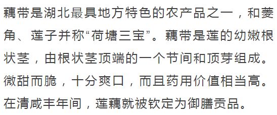 仙桃世界举重冠军有几个_仙游举重世界冠军_湖北举重世界冠军