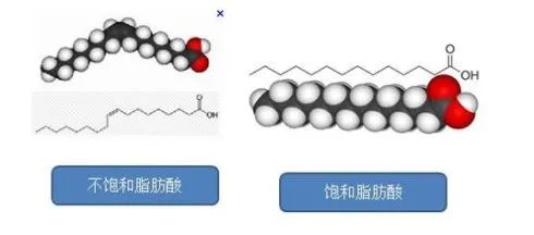 素食者健身餐_健身的人三大营养素_健身素食食谱