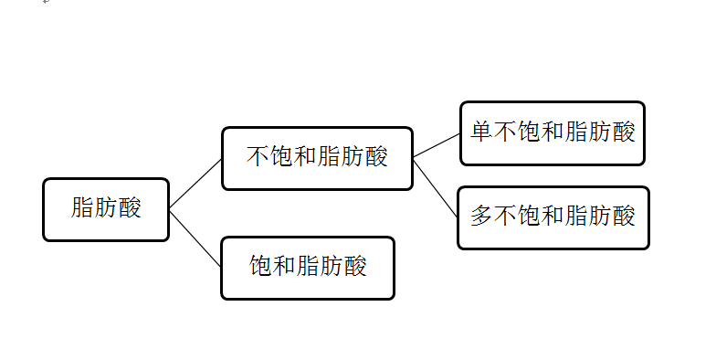 健身的人三大营养素_素食者健身餐_健身素食食谱