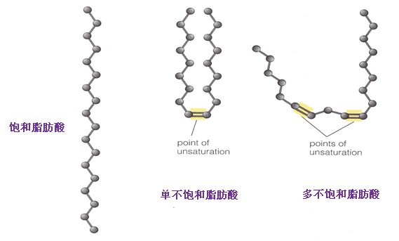 健身的人三大营养素_素食者健身餐_健身素食食谱