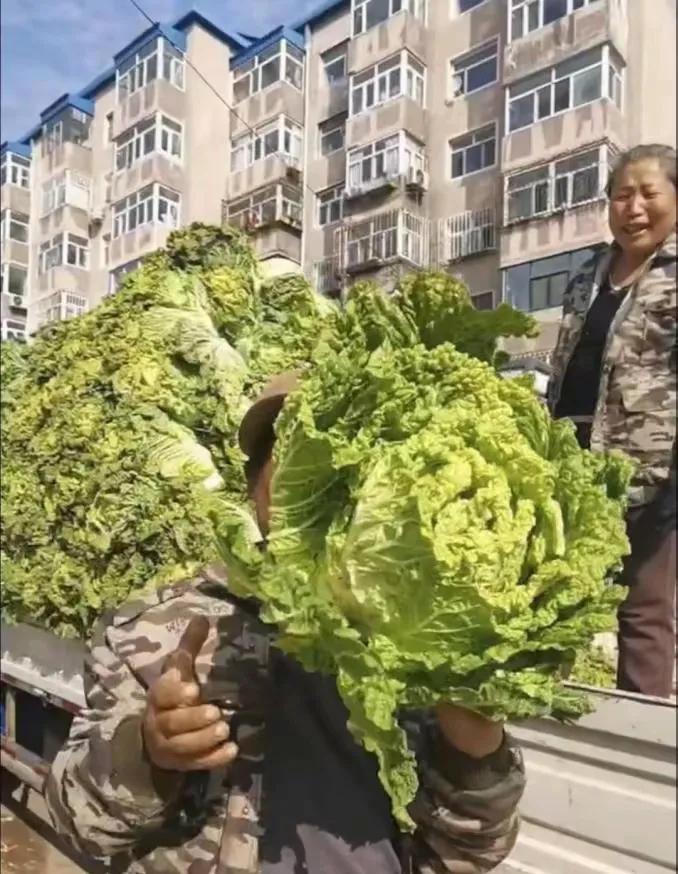 东北必备生活技能_东北传统职业_必备东北技能生活的句子