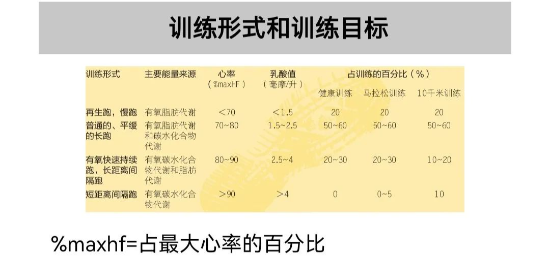 运动负荷的作用_有氧负荷运动_运动负荷就是负荷量