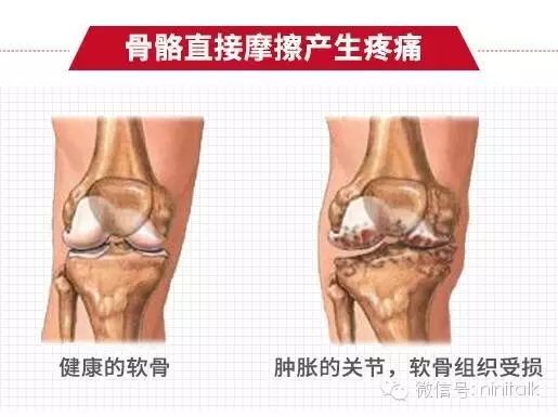 健身房营养摄入_摄入房营养健身操视频_健身营养摄入量计算表