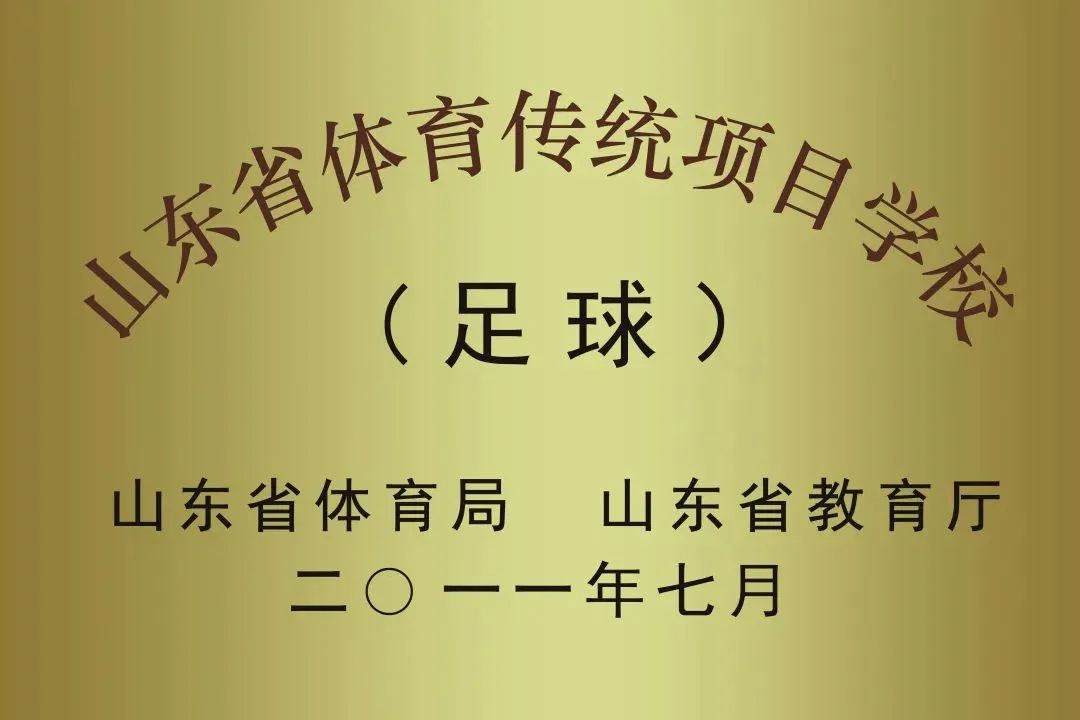 全国小学生足球赛_全国小学生足球联赛排名_惠山区小学生足球冠军联赛