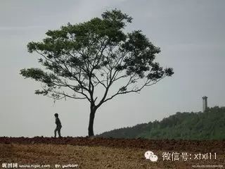 朗哥日常生活趣事_朗哥日常生活趣事_朗哥日常生活趣事