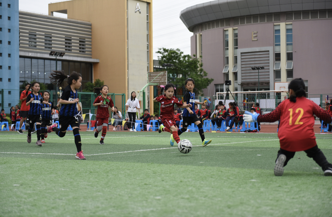 篮球的规矩和足球的规矩_篮球规则多还是足球多_篮球足球⚽️