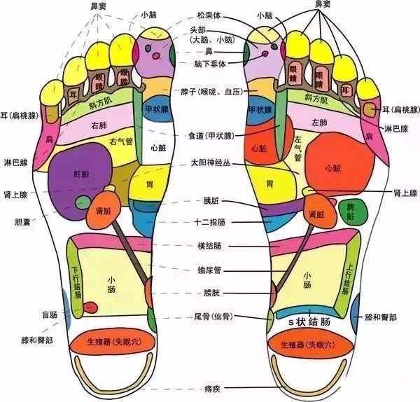 游泳有氧运动_游泳跑步_跑步和游泳是有氧运动