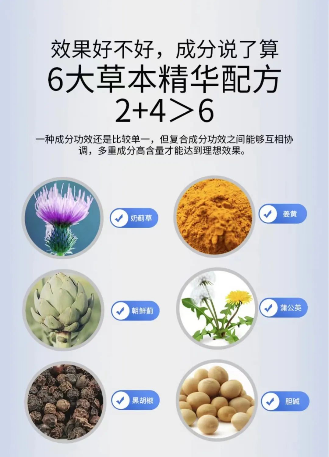 小程序膳食生活小百科_呼兰微生活小程序_微信小程序和支付宝小程序区别