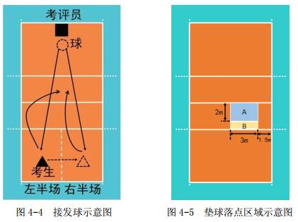 2020篮球体育单招测试项目_2017篮球体育单招规则_篮球单招公式