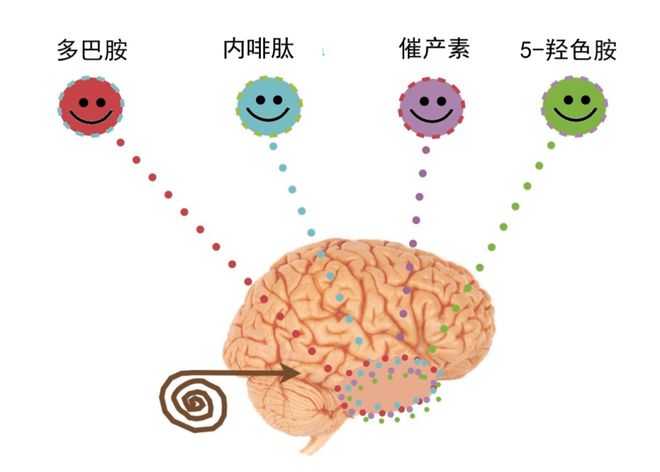 运动使人健康的句子_运动使人_运动使人快乐经典语录