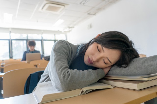 人的六种不同生活方式_生活方式作为人的生活模式_生活方式有很多种