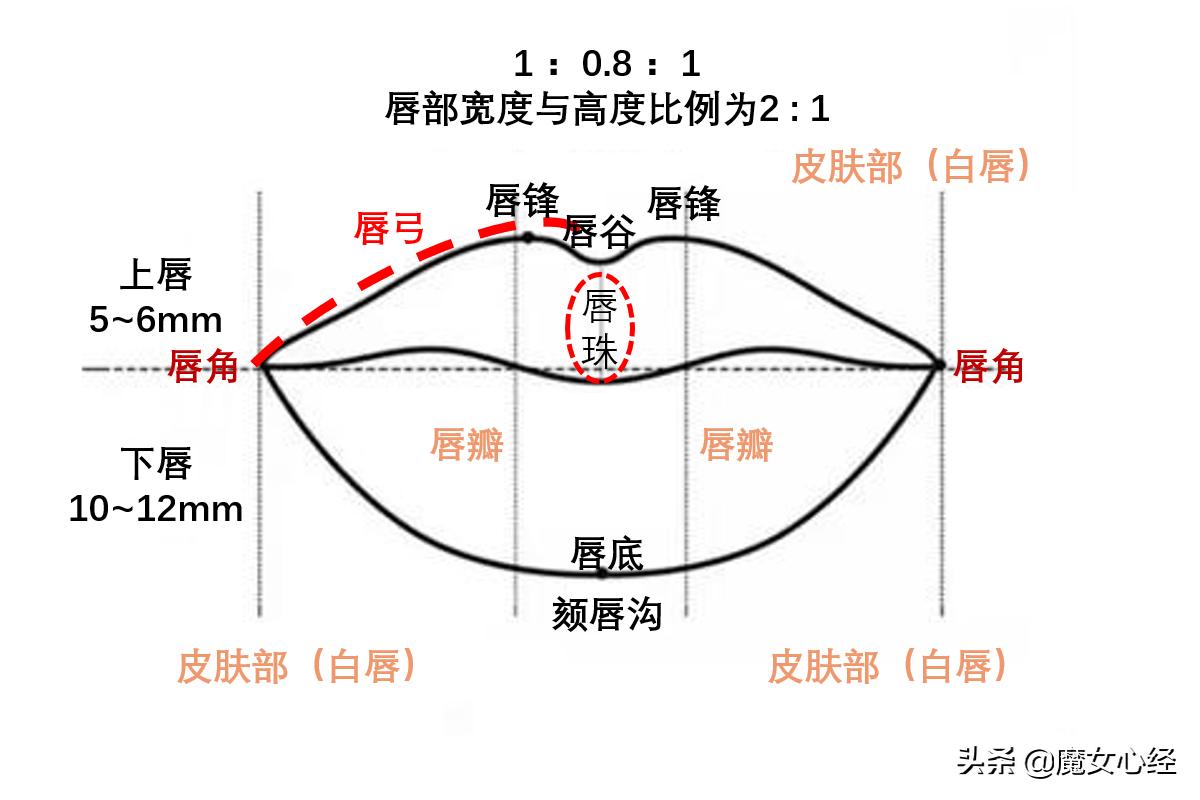 口红的教程_口红技巧生活小妙招图片_生活小技巧口红