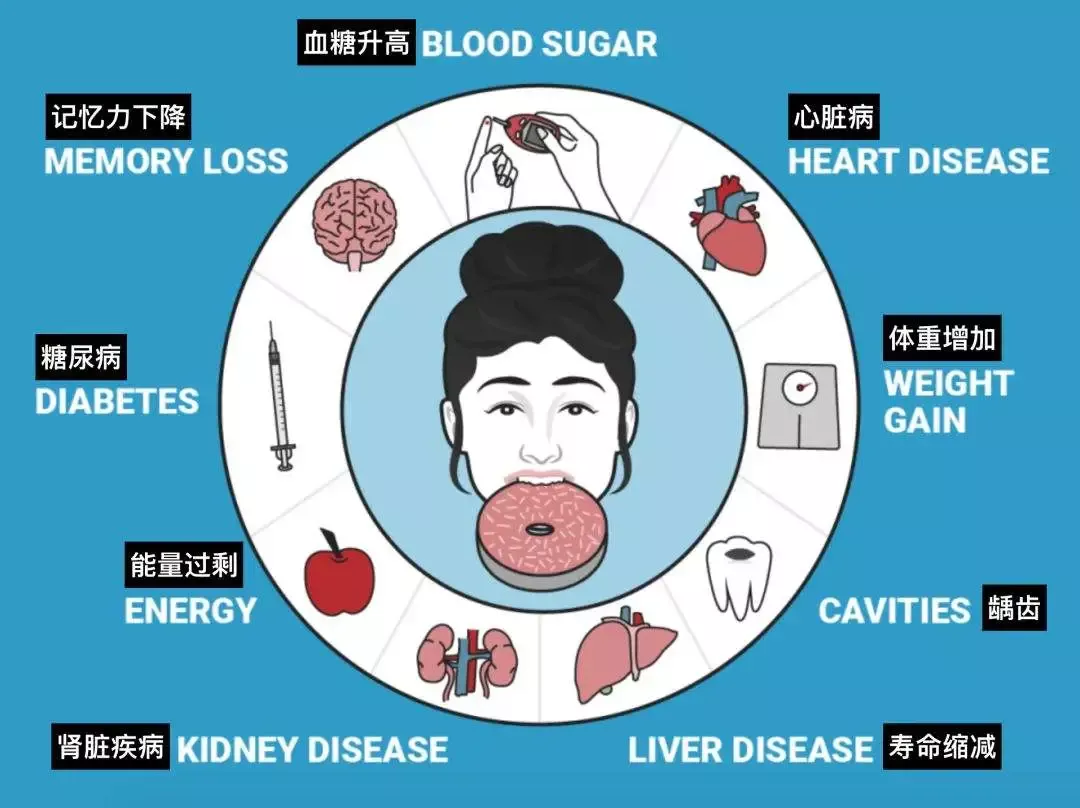 只运动不吃营养餐_运动营养餐的搭配_运动后营养餐