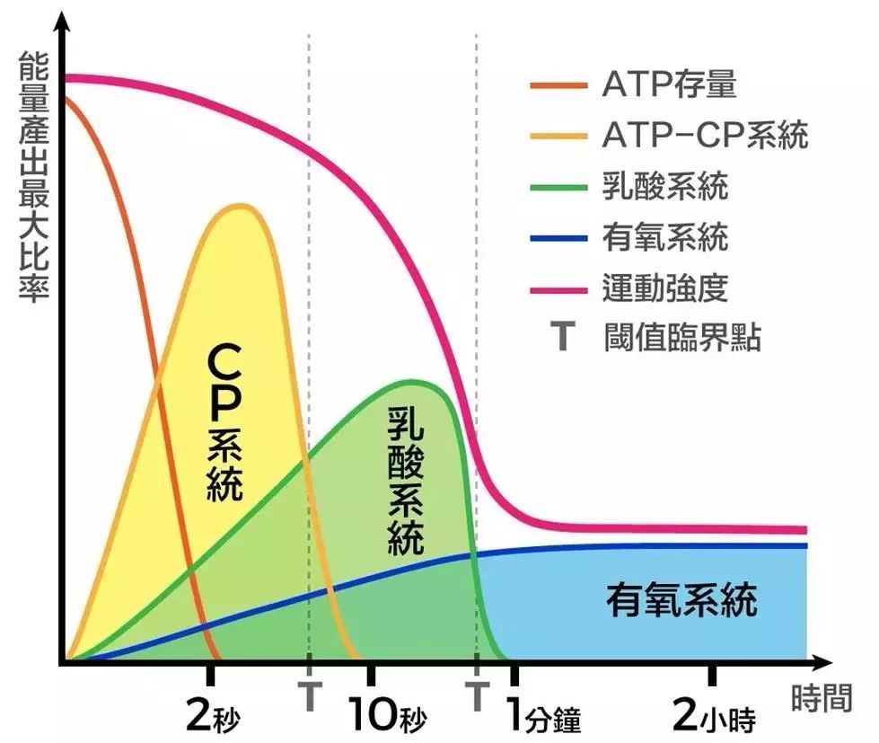 运动前吸氧_百米训练前有氧运动_运动前吸氧可以提高成绩吗