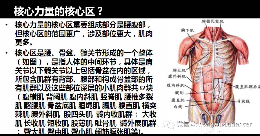 有氧运动视频横竖_手机视频横竖转换_运动后过量氧耗和氧亏