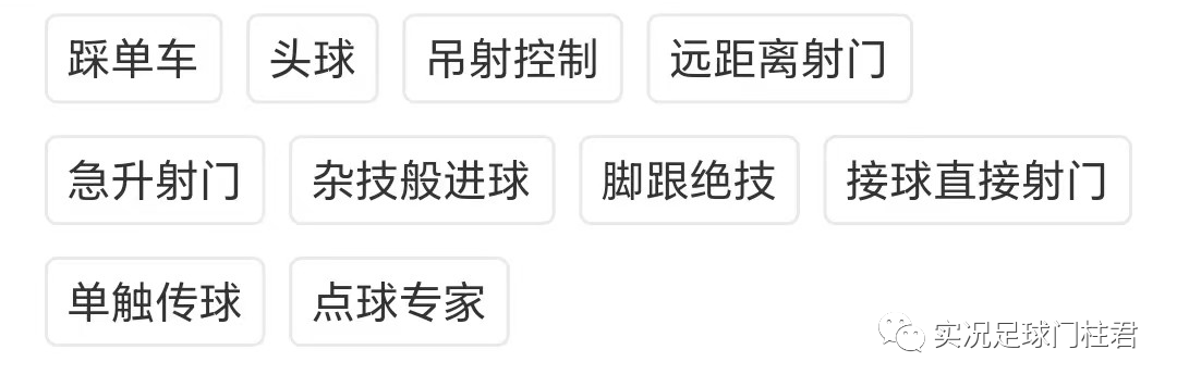 冠军足球2怎么改技能_足球冠军改技能怎么改_足球冠军改技能了吗