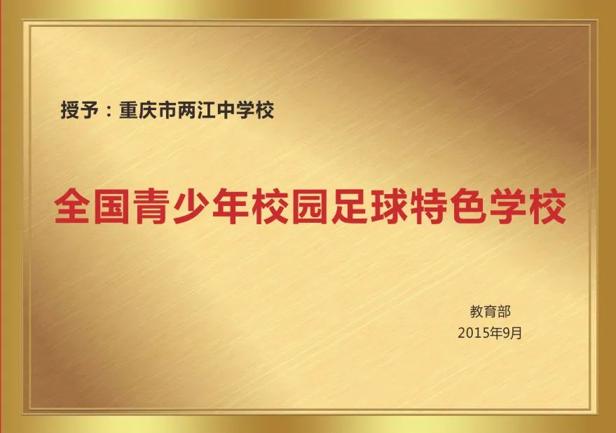 渝北足球联赛冠军_联赛足球冠军渝北是谁_重庆足球足协杯冠军阵容