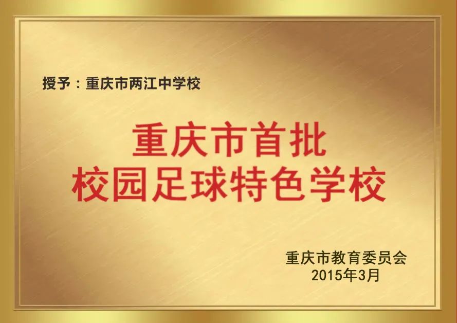 联赛足球冠军渝北是谁_重庆足球足协杯冠军阵容_渝北足球联赛冠军