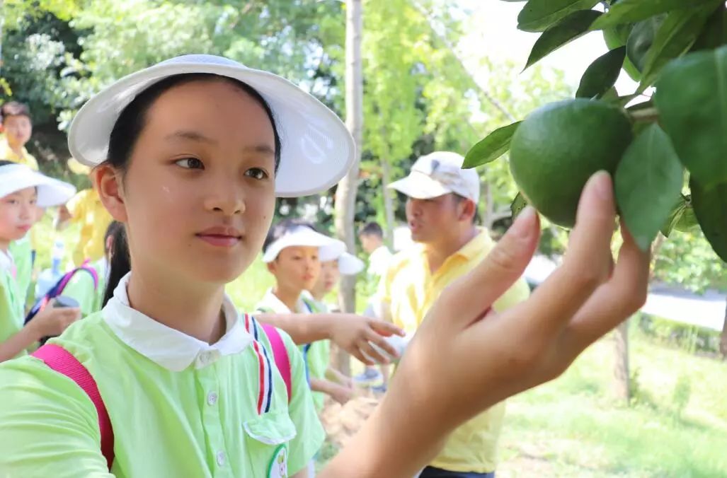 游泳技巧帆船图解_帆船选手不会游泳_帆船游泳技巧