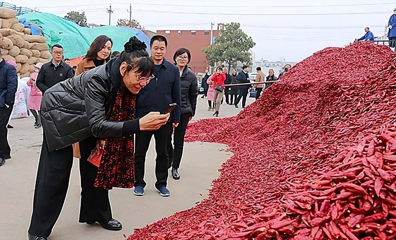 个子矮穿篮球鞋好看吗_矮个子篮球鞋怎么搭配_适合矮个子篮球技巧的鞋子