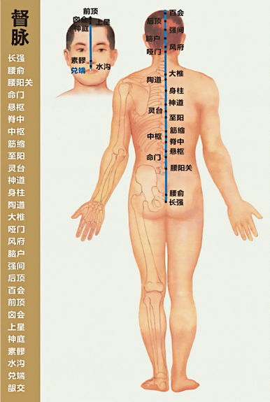 亚健康督脉灸_督脉灸健康宣教_艾灸督脉灸的作用和功能