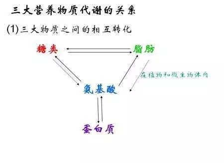 有氧运动杯_氧运动有哪些项目_运动时吸纯氧