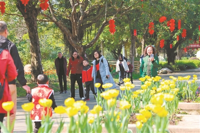 足球比赛的起源在哪个国家_足球赛的来源和历史_足球赛源历史来自于哪里