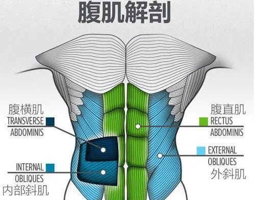 健身练手臂的好处_明星健身不练手臂_健身练手臂的动作有哪些