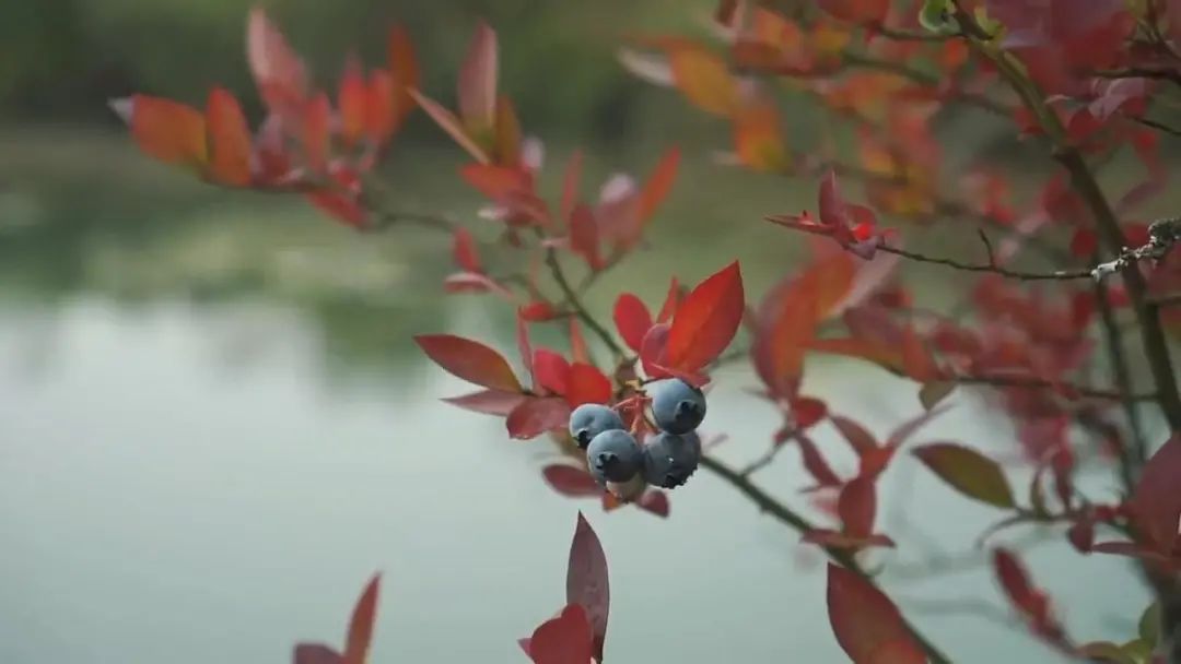 湿地与人类的生活方式_湿地人类方式生活有哪些_湿地与人类文明