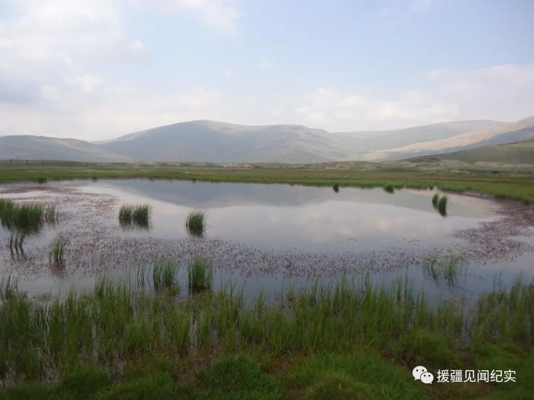 湿地人类方式生活有哪些_湿地与人类文明_湿地与人类的生活方式