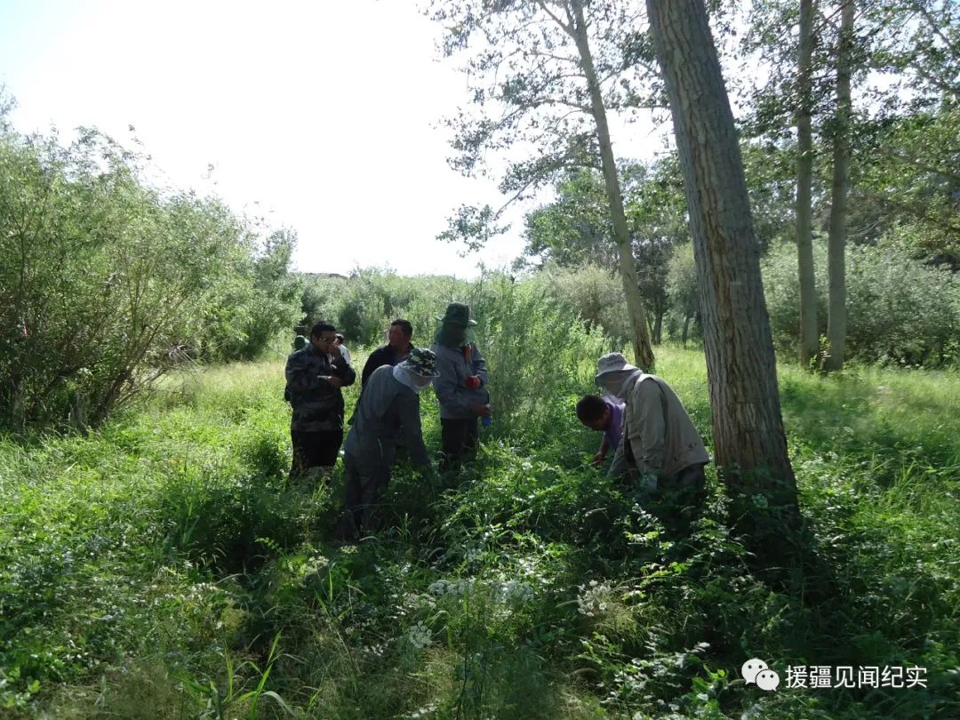 湿地与人类文明_湿地人类方式生活有哪些_湿地与人类的生活方式