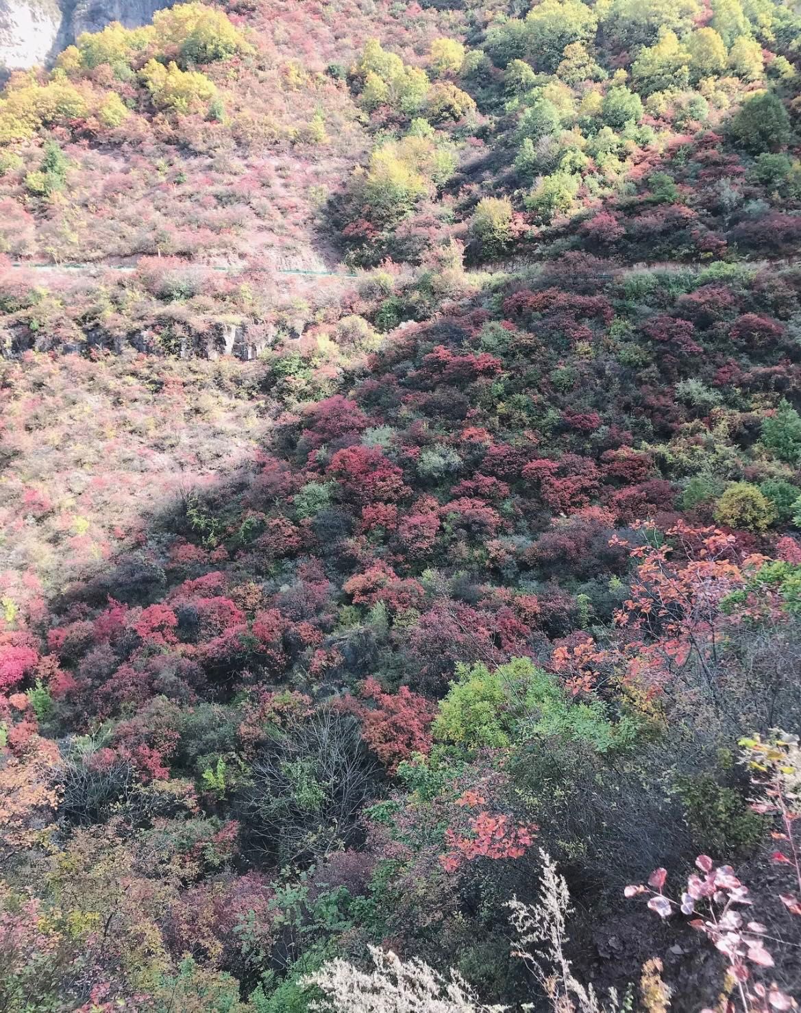 房山农职健身_万荣健身房_万荣实验小学是什么房