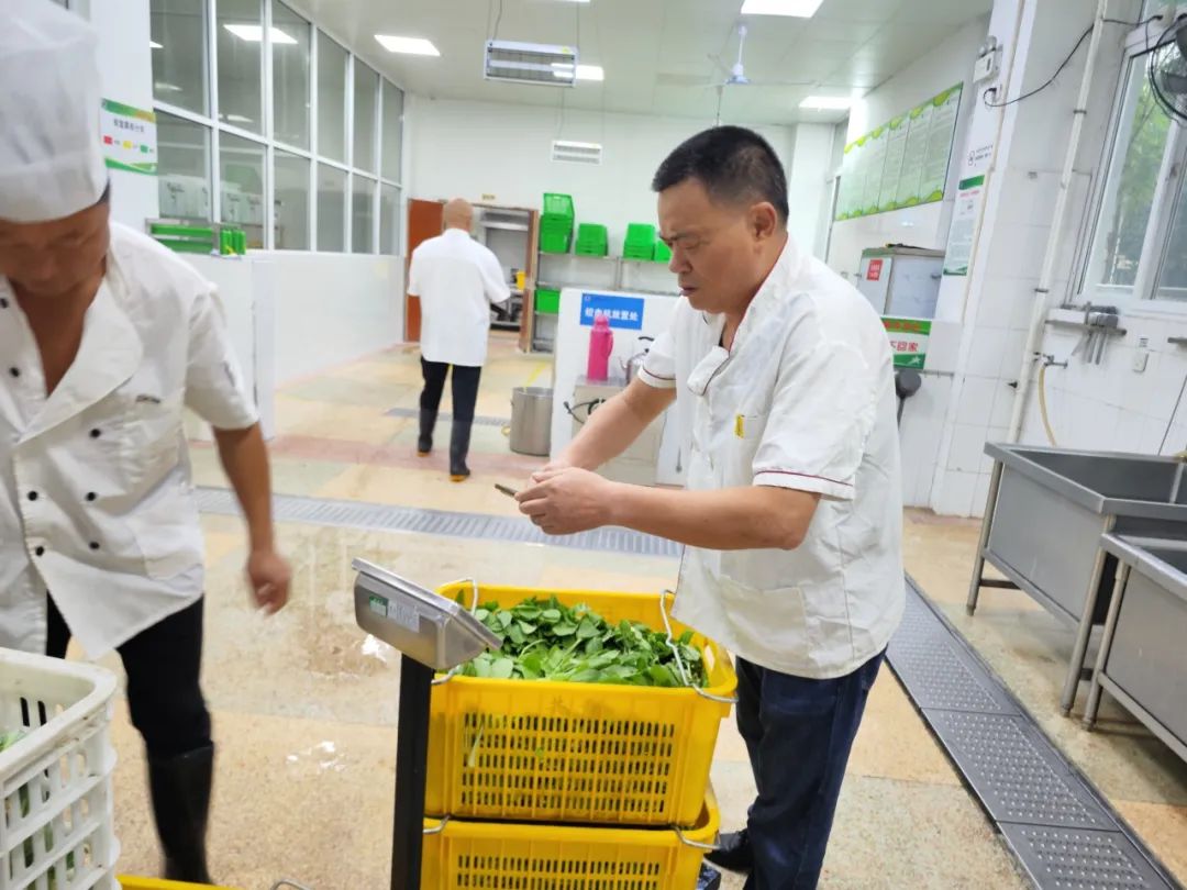 㴝麦营养_麦饭有营养吗_菽麦营养餐