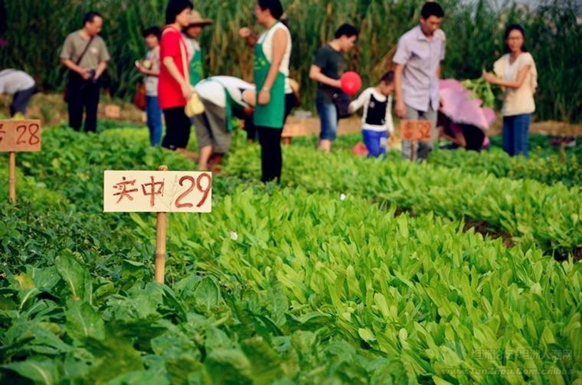 三种生活方式不同_方式生活管理的特色不包括_方式生活是什么意思