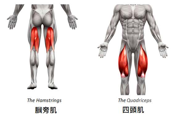 陈有氧运动_氧运动是指哪些运动_氧运动有哪些项目