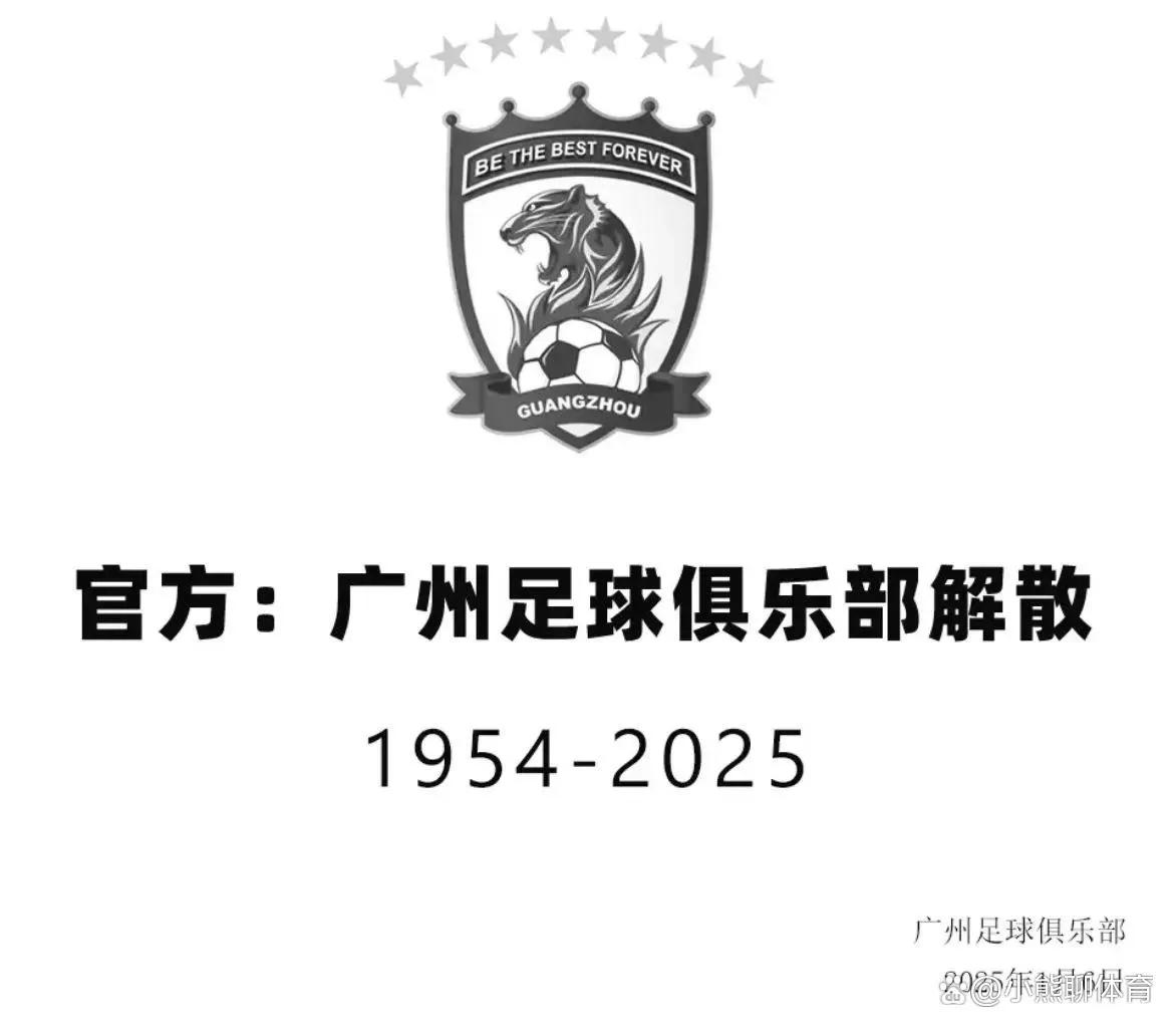 广州市七人足球冠军杯_广州队足协杯名单_广州足球队历史