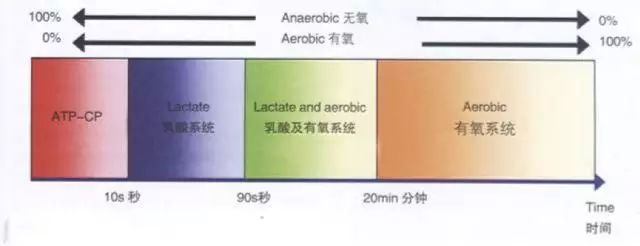 冷知识有氧运动_冇氧运动_氧运动有哪些项目