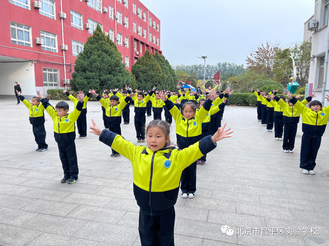 体操培养学生什么能力_学生练体操好吗_学生体操锻炼