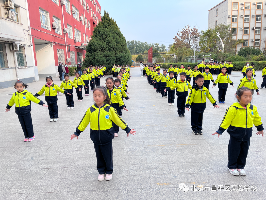 学生练体操好吗_体操培养学生什么能力_学生体操锻炼